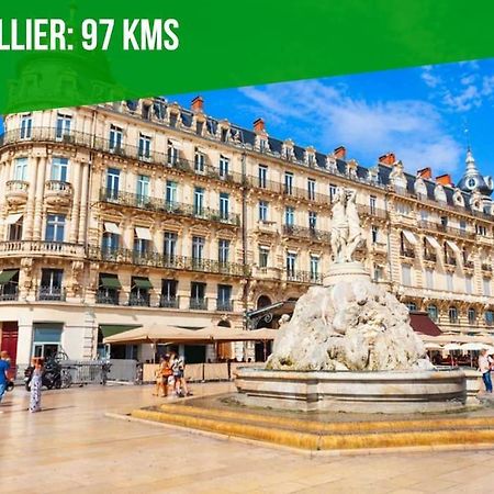 L'Olivier - 2 Terrasses - Clim Ac - Wifi - Proche Theatres Apartment Avignon Ngoại thất bức ảnh