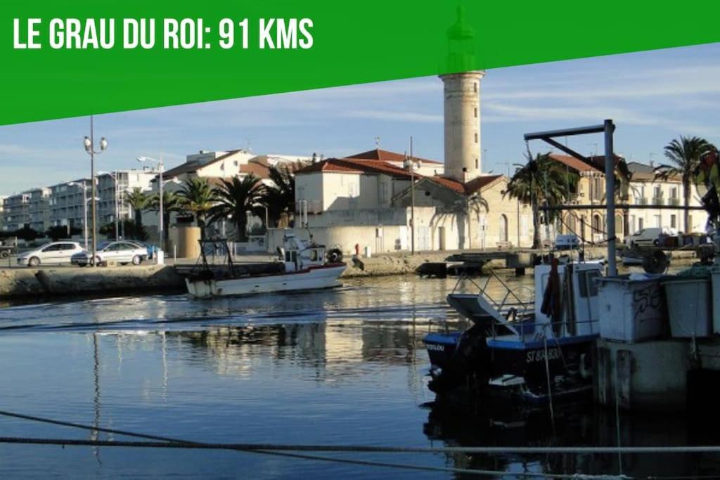 L'Olivier - 2 Terrasses - Clim Ac - Wifi - Proche Theatres Apartment Avignon Ngoại thất bức ảnh